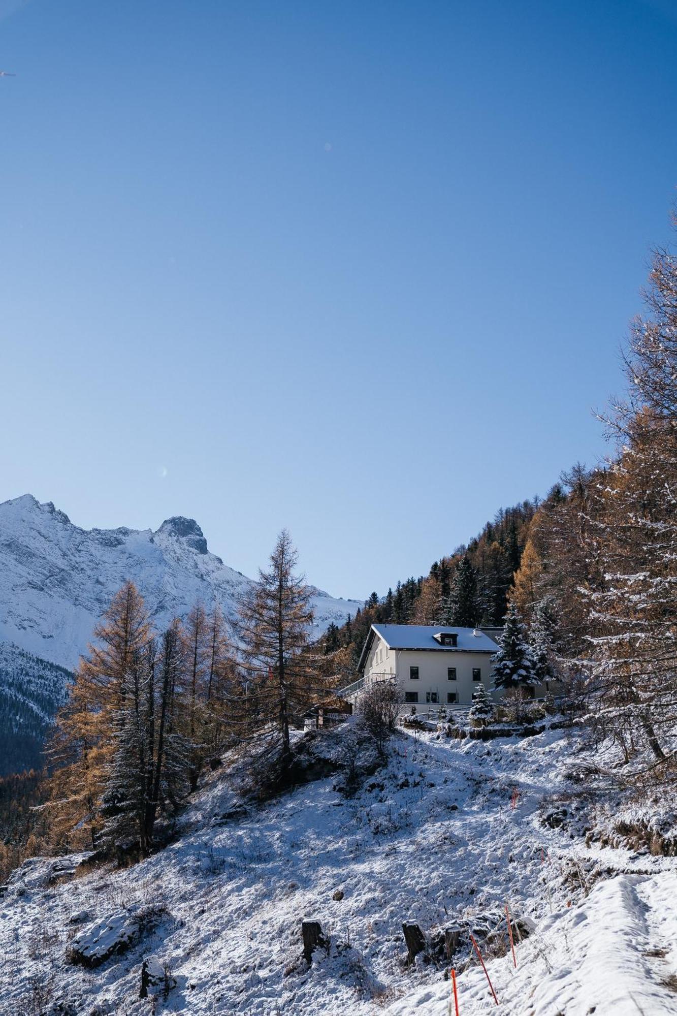 Waldhotel Fletschhorn Panoramic Retreat In Saas Fee Eksteriør billede
